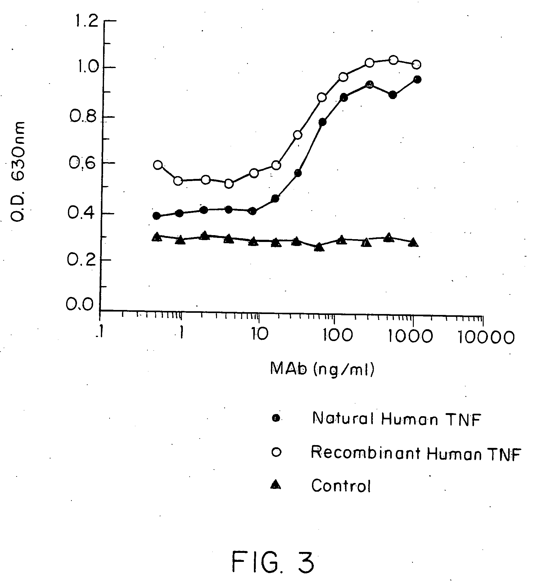 Anti-TNF antibodies and peptides of human tumor necrosis factor