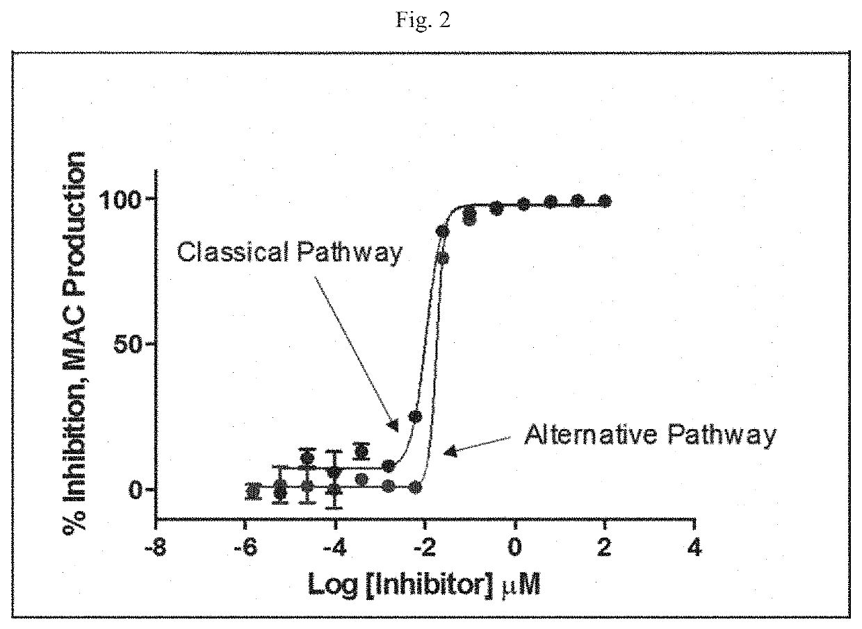 Modulators of complement activity