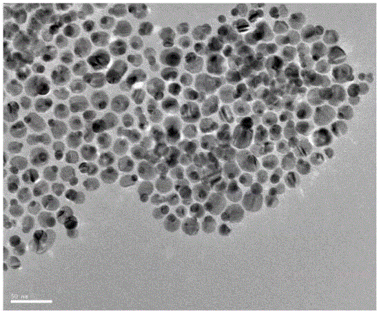 Nanometer contrast agent with lung-cancer-targeting magnetic resonance imaging capacity and preparation method of nanometer contrast agent