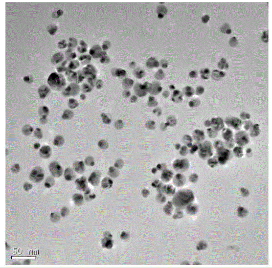 Nanometer contrast agent with lung-cancer-targeting magnetic resonance imaging capacity and preparation method of nanometer contrast agent