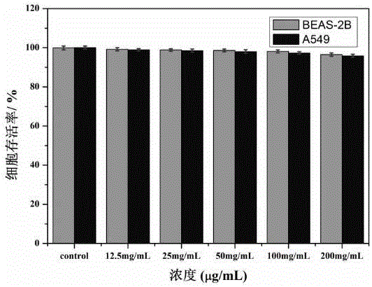 Nanometer contrast agent with lung-cancer-targeting magnetic resonance imaging capacity and preparation method of nanometer contrast agent