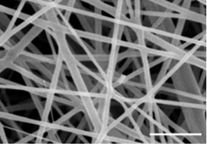 Medical bionic transparent film implanting material, and preparation method and application of material