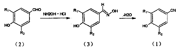 Method of preparing p-cyanophenol like compound