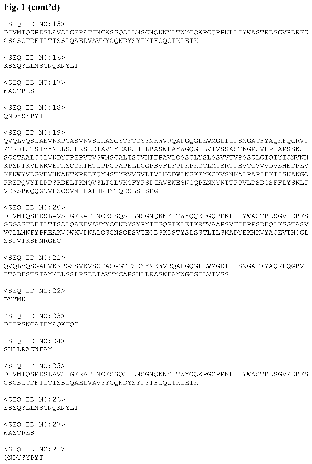 Specific antibody-drug-conjugates (ADCS) with ksp inhibitors and Anti-cd123-antibodies