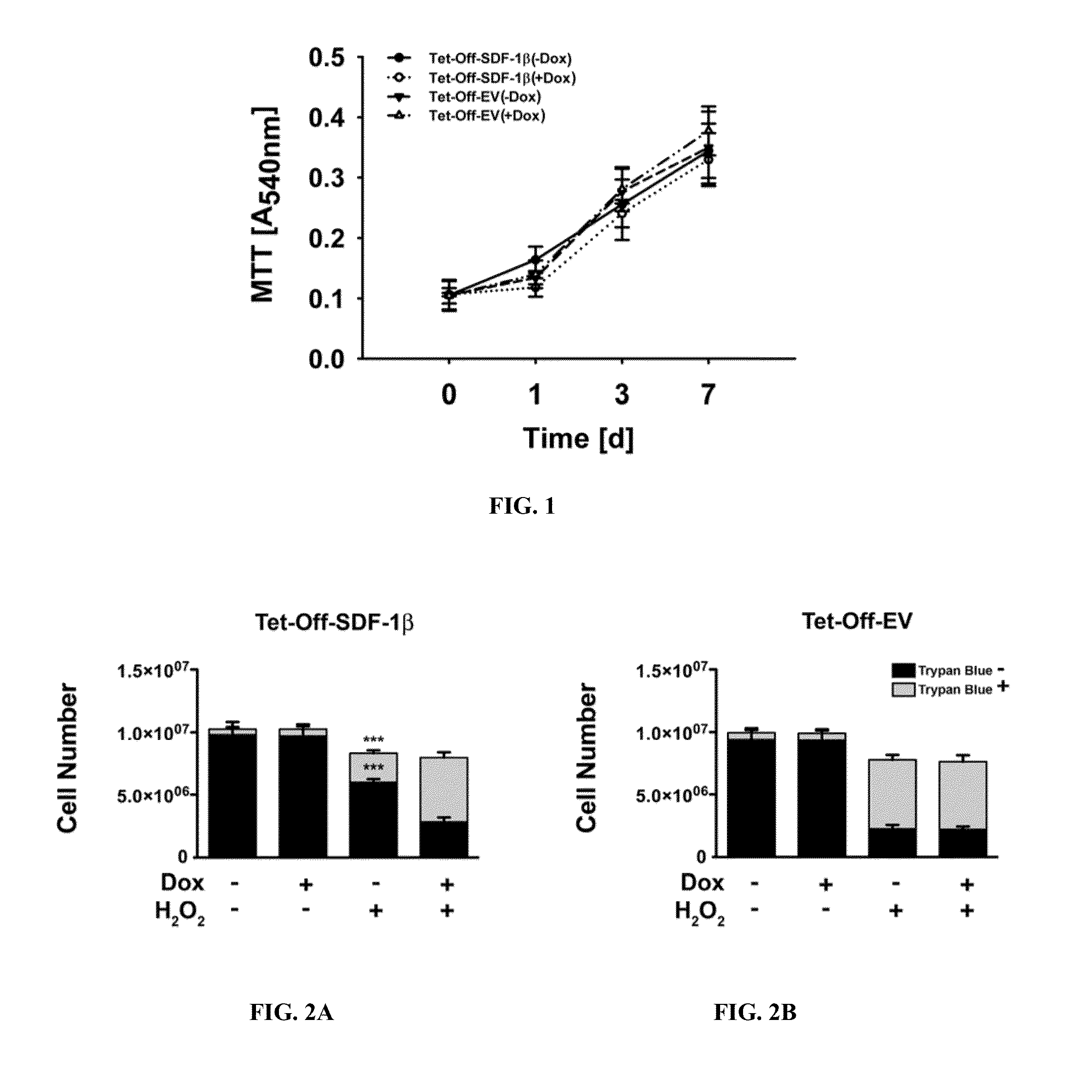 Compositions and Methods for Increasing Stem Cell Survival