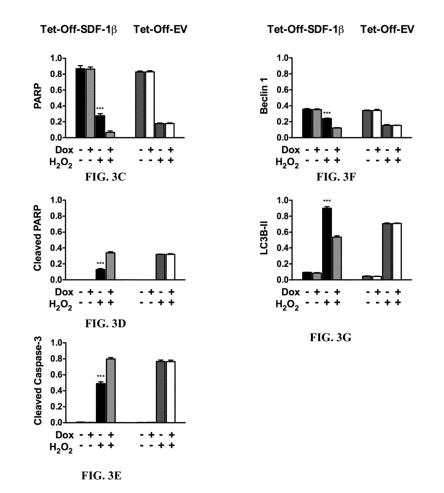Compositions and Methods for Increasing Stem Cell Survival