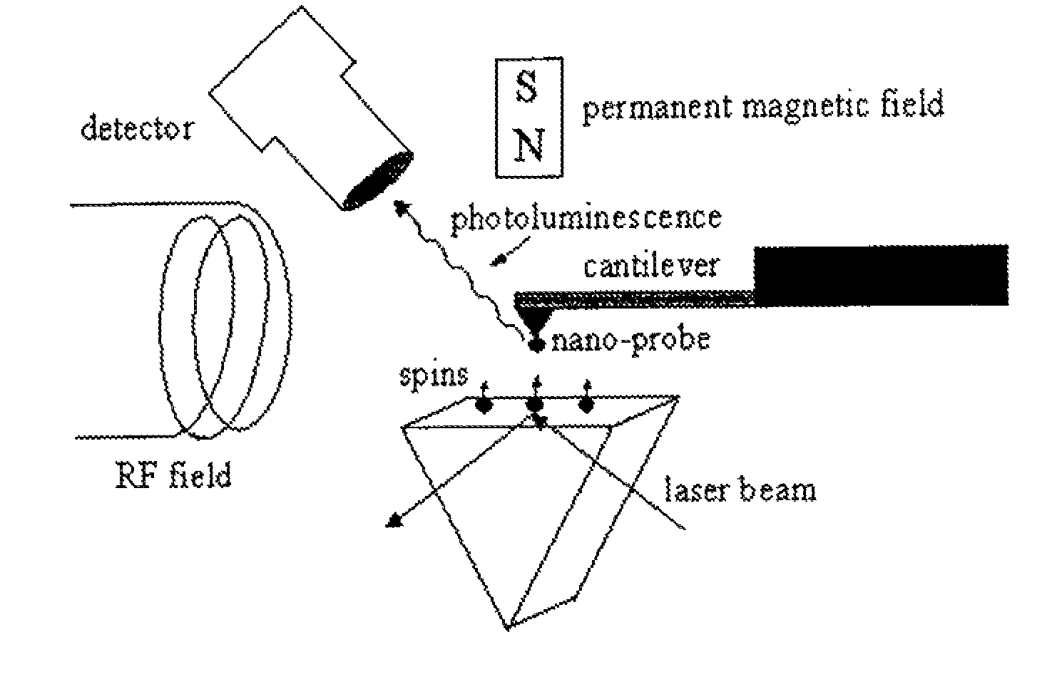 Spin microscope based on optically detected magnetic resonance