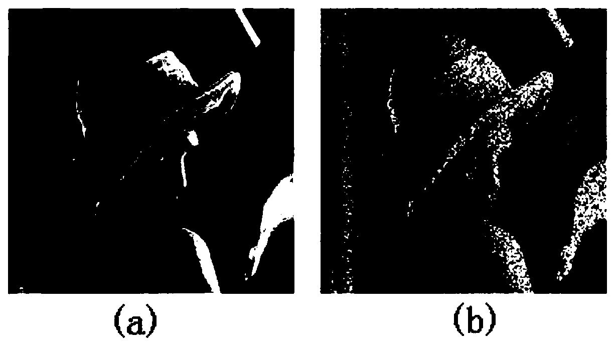 Self-adaptive threshold image denoising method based on four-order partial differential equation
