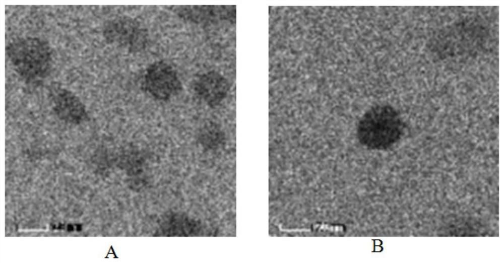 Desonide nano-emulsion gel composition and preparation method thereof