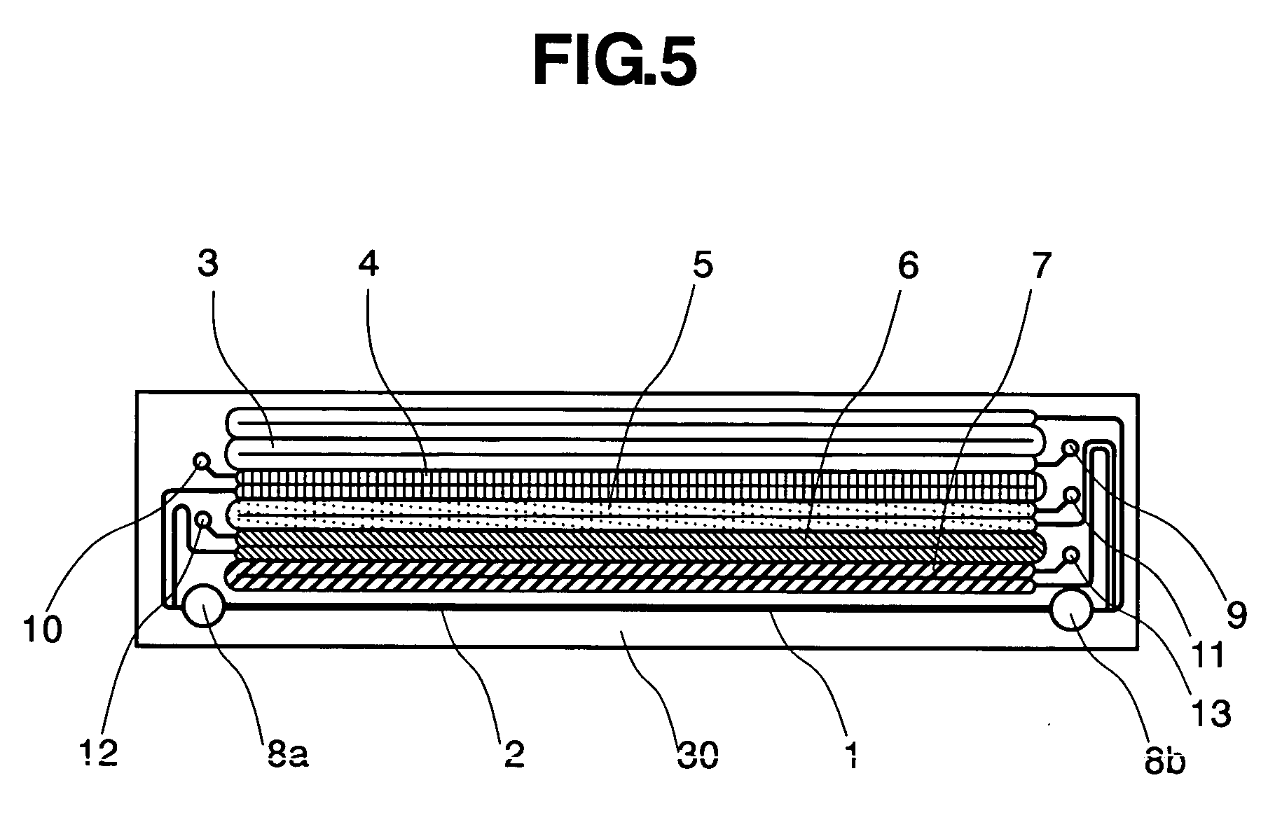 Biomaterial inspection chip