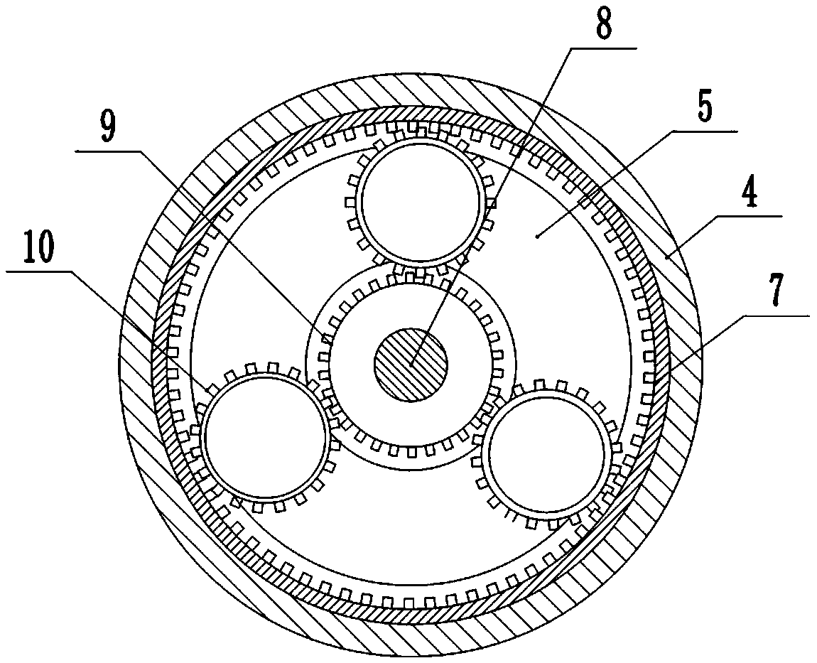 Cultivation method of radix scrophulariae