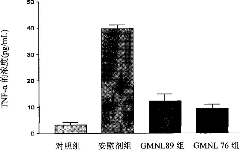 Lactobacillus separation strains with anti-inflammatory activity and application thereof