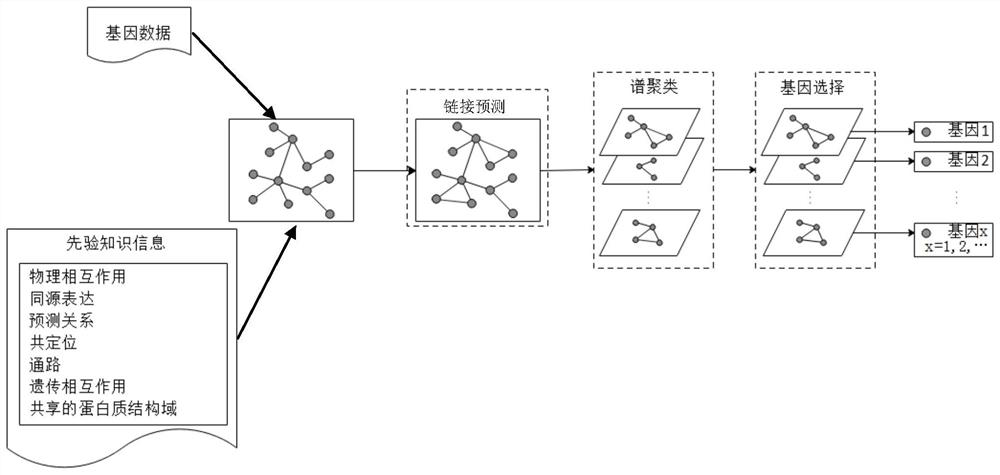 High-dimensional data feature selection method based on graph neural network and spectral clustering
