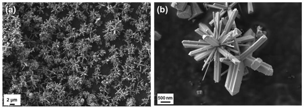 Sulfur-doped iron selenide nanorod material, and preparation method and application thereof