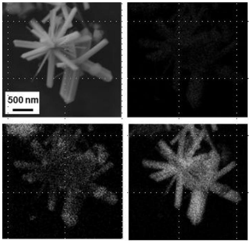 Sulfur-doped iron selenide nanorod material, and preparation method and application thereof