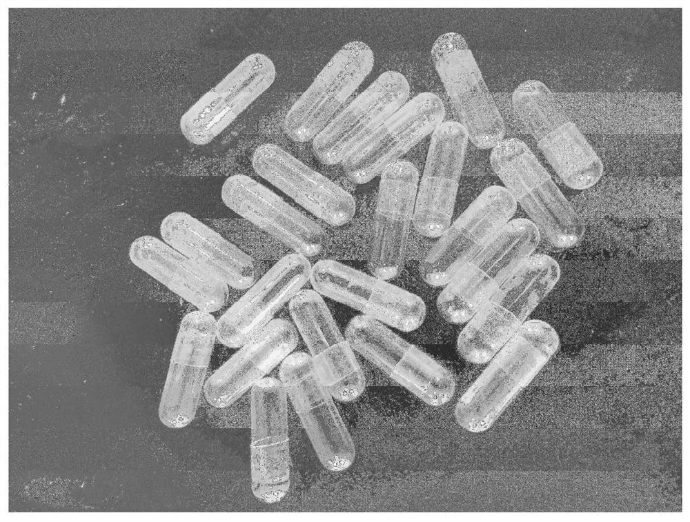 A kind of enteric-coated hollow cellulose capsule and preparation method thereof