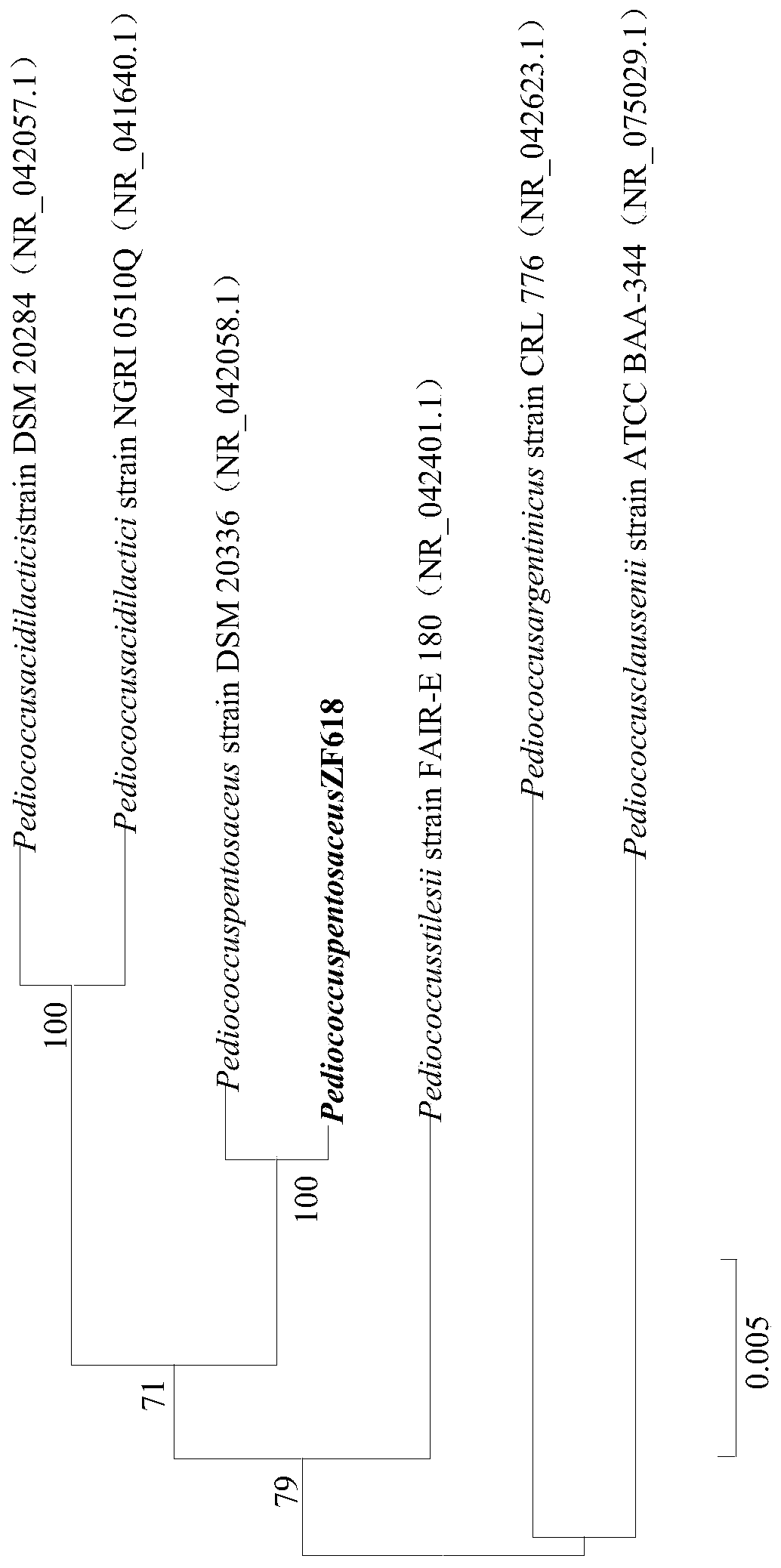 Pediococcus pentosaceus ZF618 and application thereof