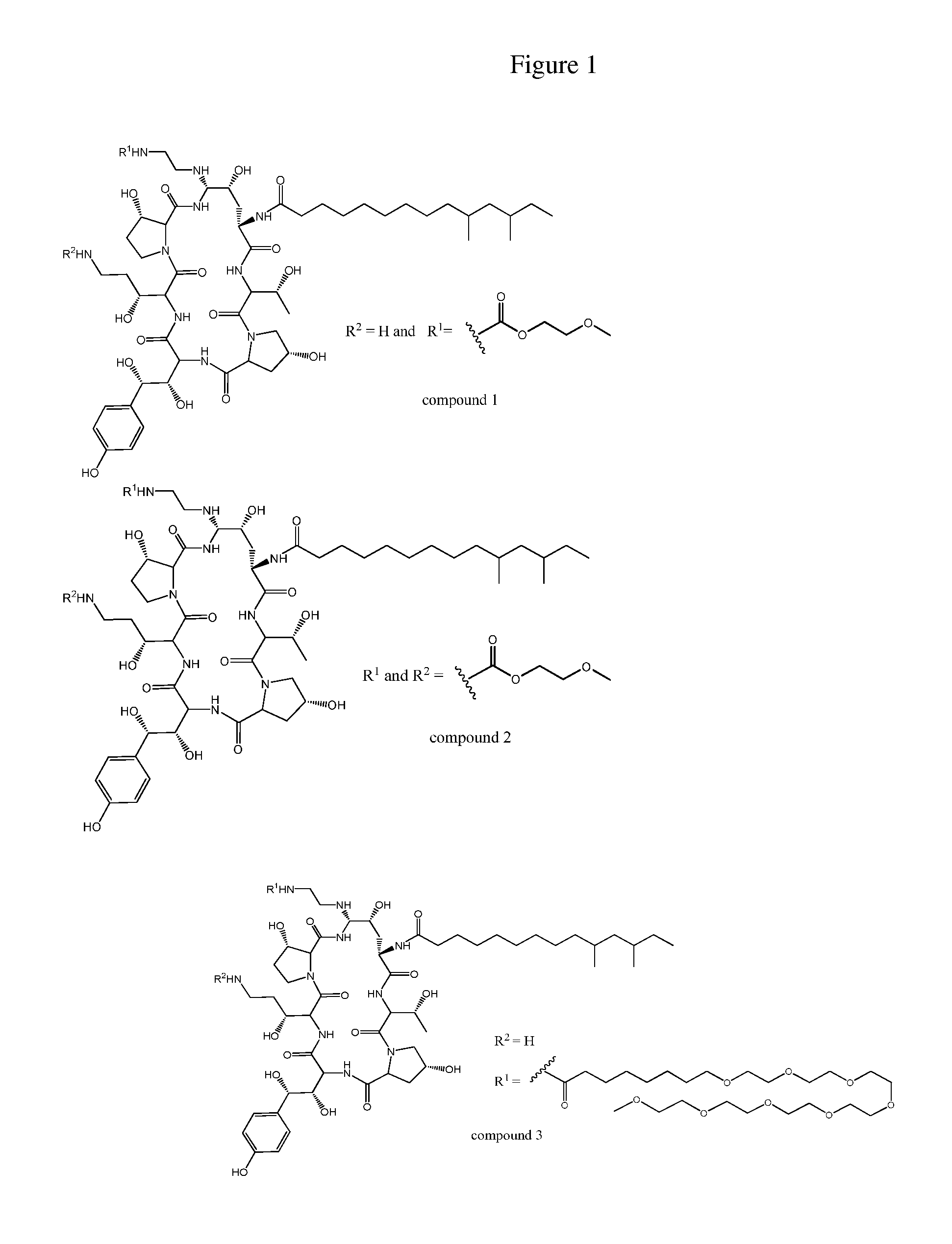 Dosing regimens for echinocandin class compounds