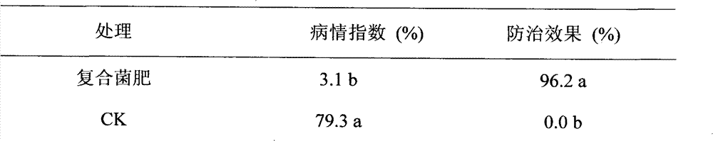 Multi-element composite microorganism bacterial manure and preparation method thereof