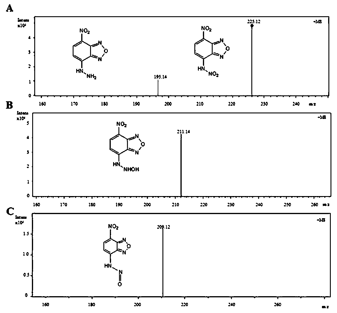 Preparation method and application of a double response detection clo-/h2s fluorescent molecular probe based on hydrogen ion activation