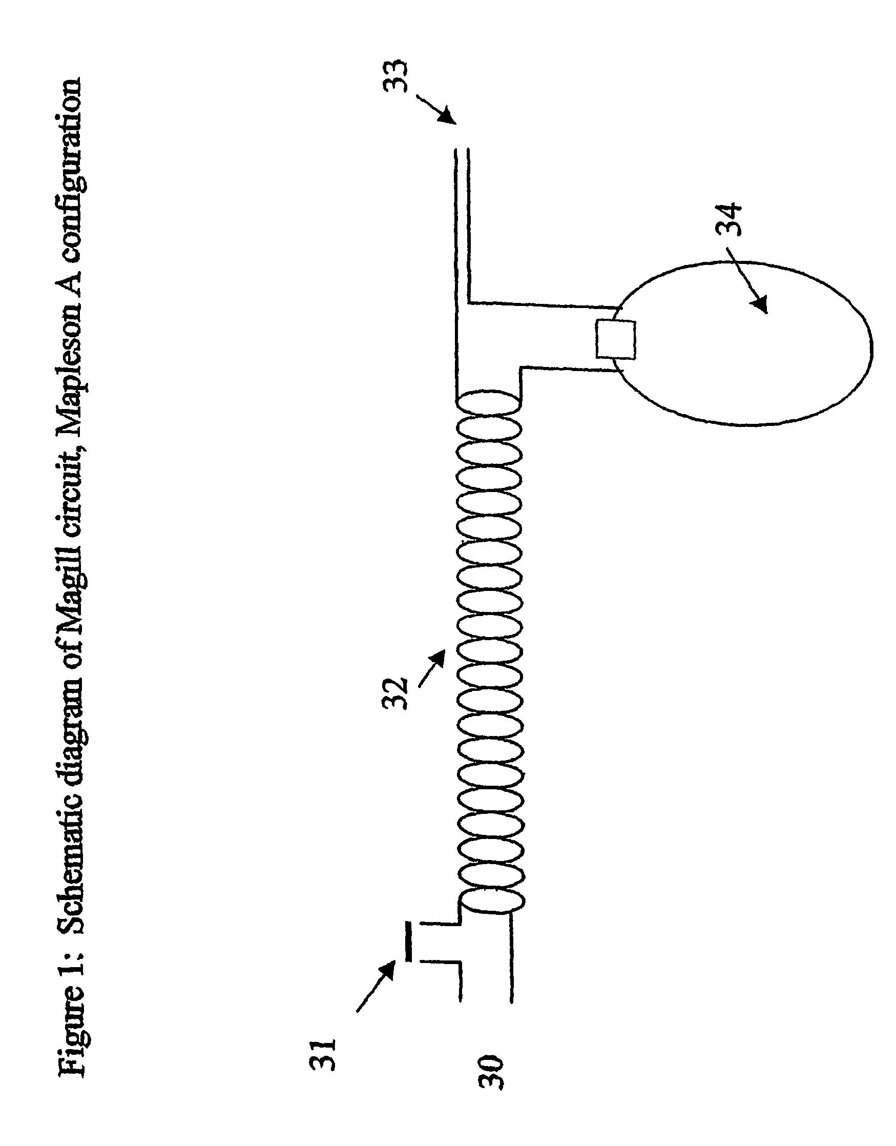 Method for continuous measurement of flux of gases in the lungs during breathing