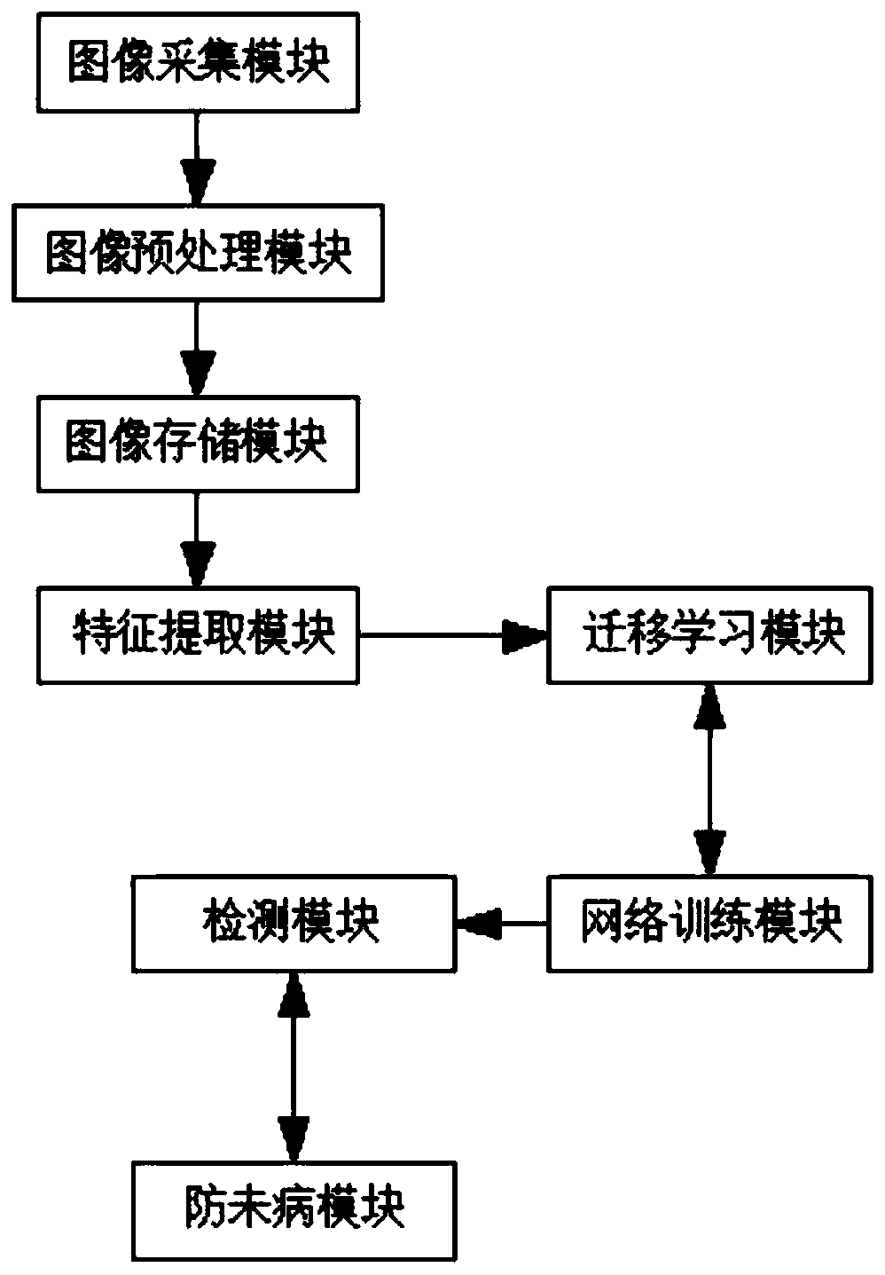 Intelligent physical examination system and method based on traditional Chinese medicine image big data