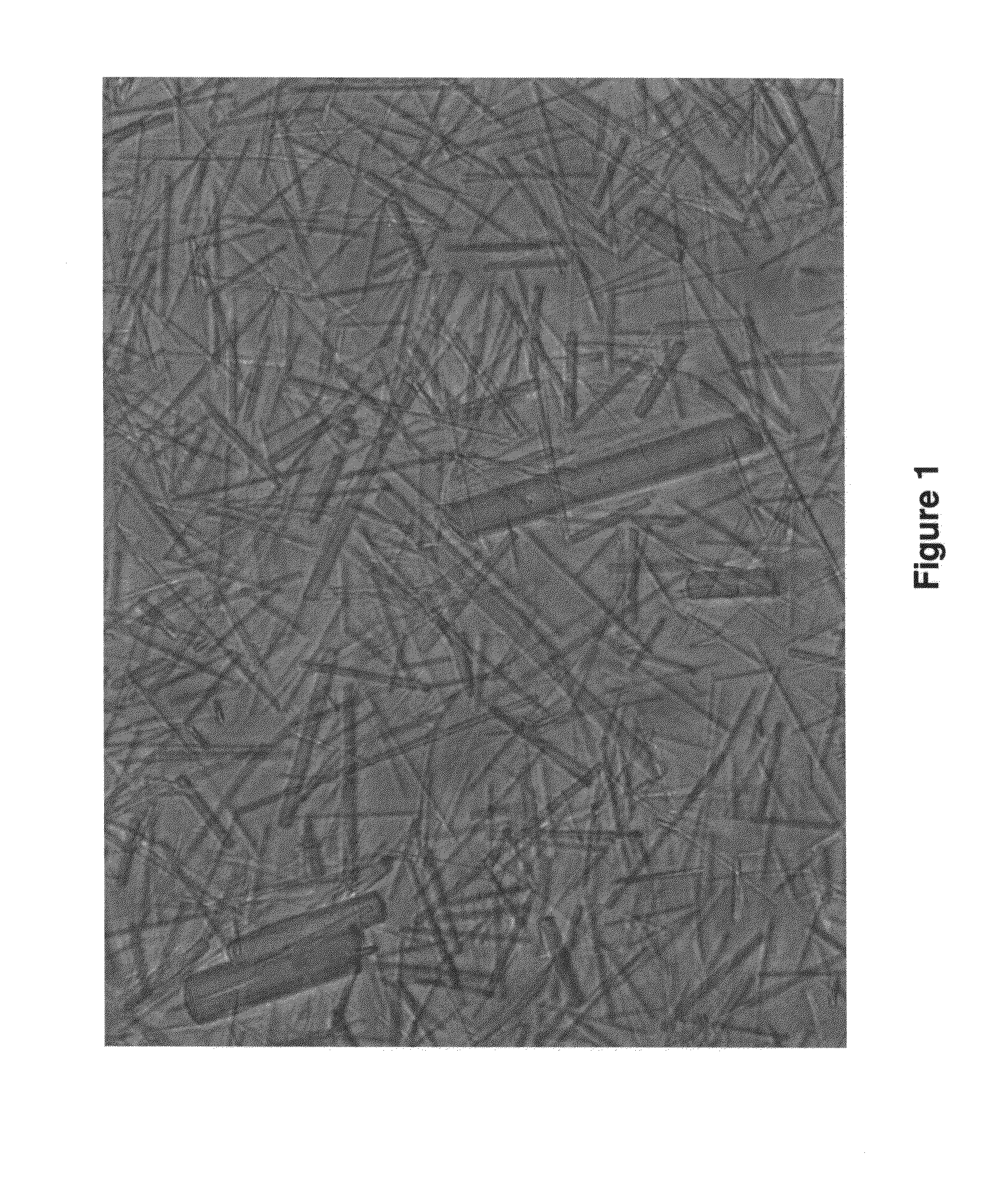 Crystal structure of human alpha-n-acetylglucosaminidase