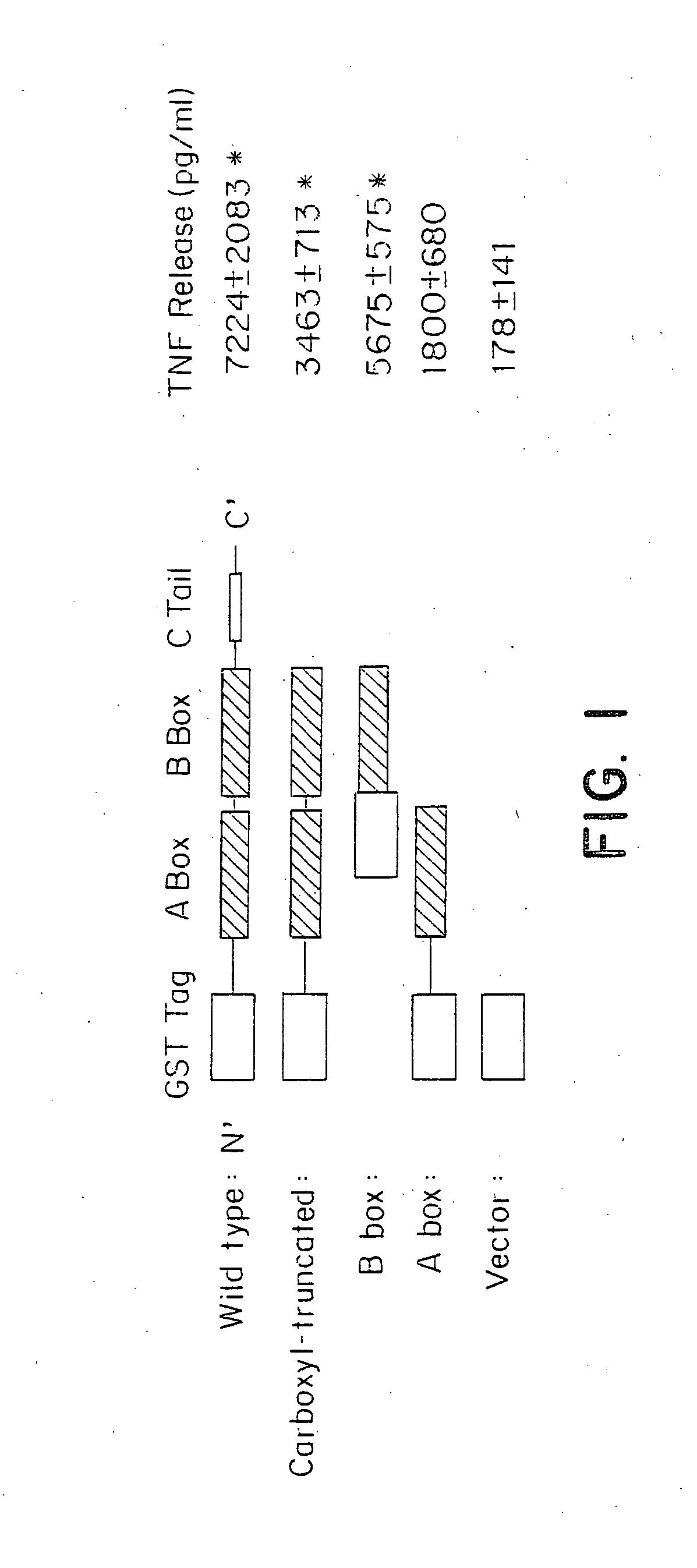 Use of HMGB fragments as anti-inflammatory agents