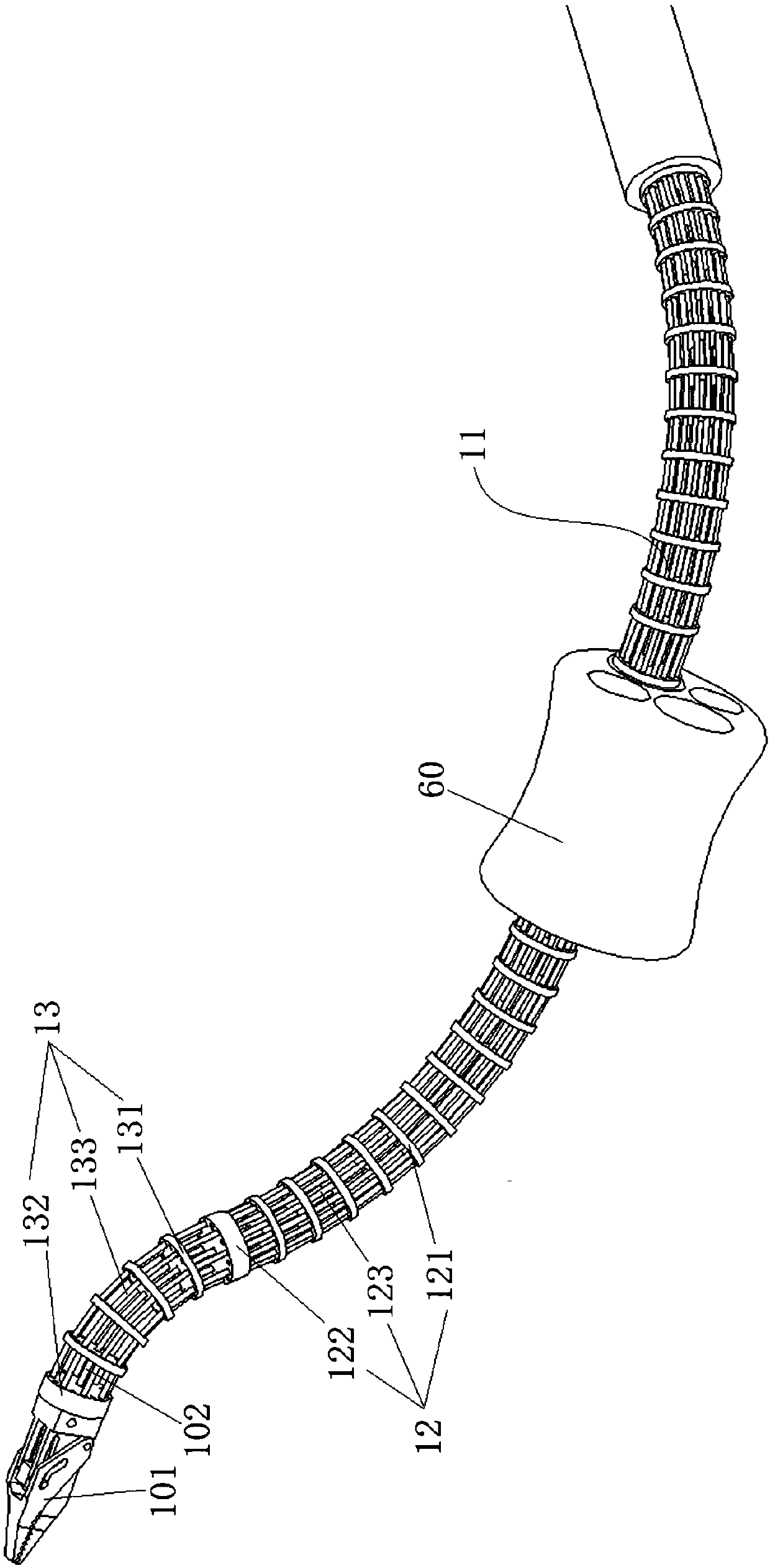 A flexible surgical tool system using constrained structural bone