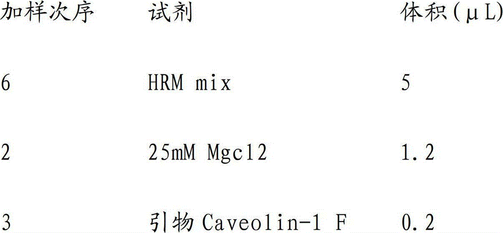 Rapid detection method of gene mutation of Caveolin-1