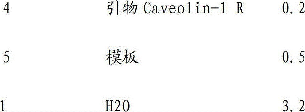 Rapid detection method of gene mutation of Caveolin-1