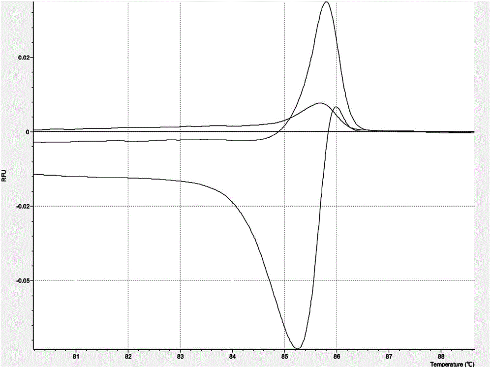 Rapid detection method of gene mutation of Caveolin-1