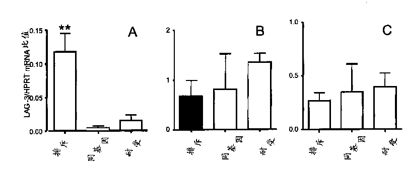 Cytotoxic anti-lag-3 monoclonal antibody and its use in the treatment or prevention of organ transplant rejection and autoimmune disease