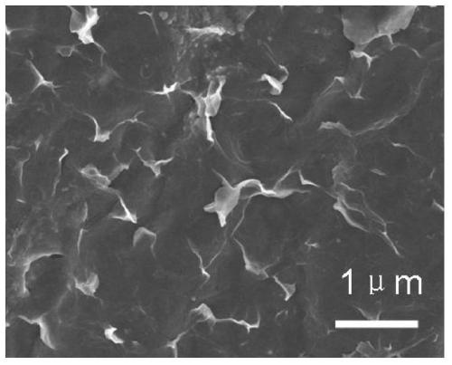A kind of preparation method of high-quality graphene conductive film