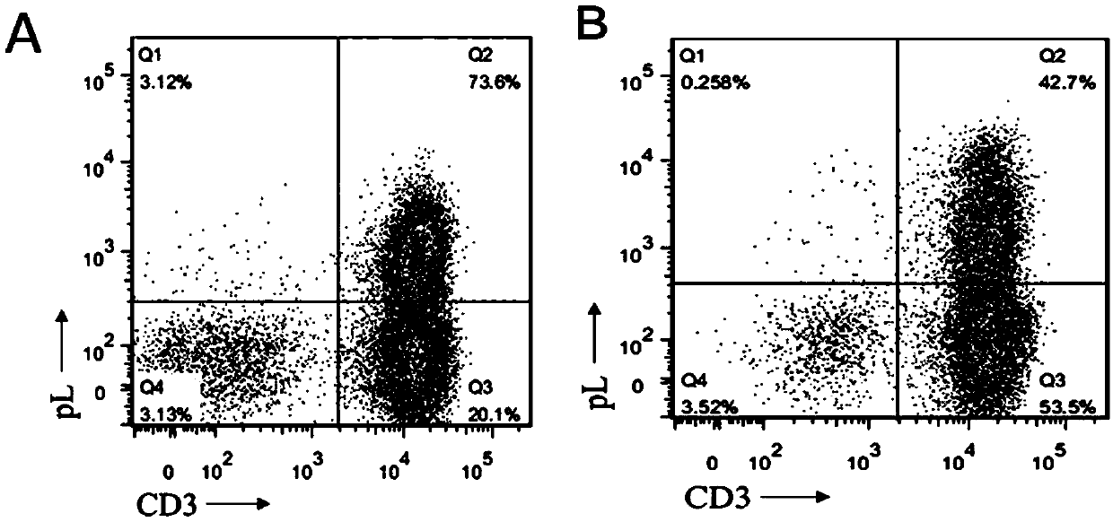 Reagent for enhancing capacity of homing CAR-T cell to solid tumor tissue