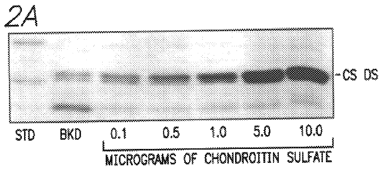 Chondroitin sulfate as a marker of bone resorption