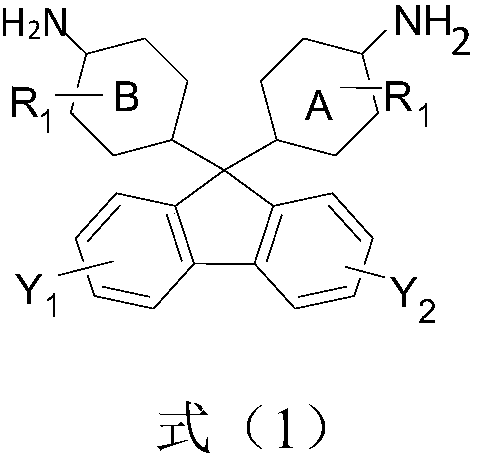 Application of supported heteropoly acid catalyst in preparation of 9,9-bi(4-amido aryl) fluorene type compound