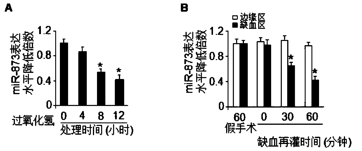 A pharmaceutical composition containing miRNA-873 and its application