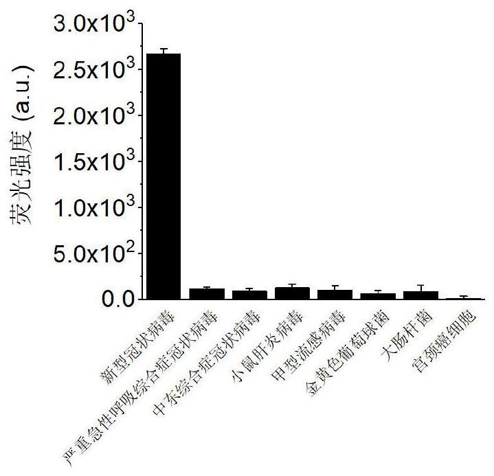 Visual virus detection method based on CRISPR-Cas12a system and application