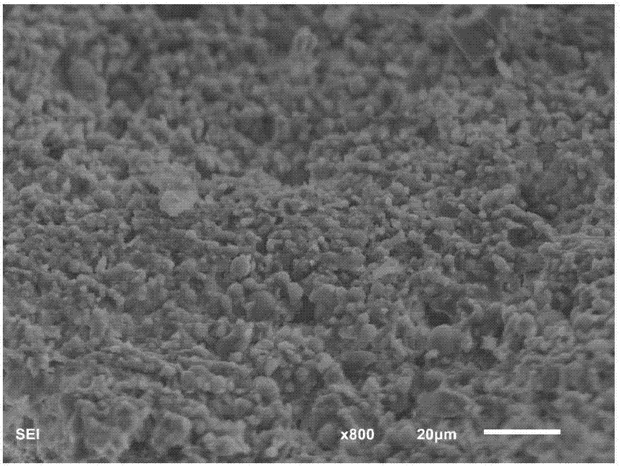 Modified fly ash ceramsite and preparation method and application thereof