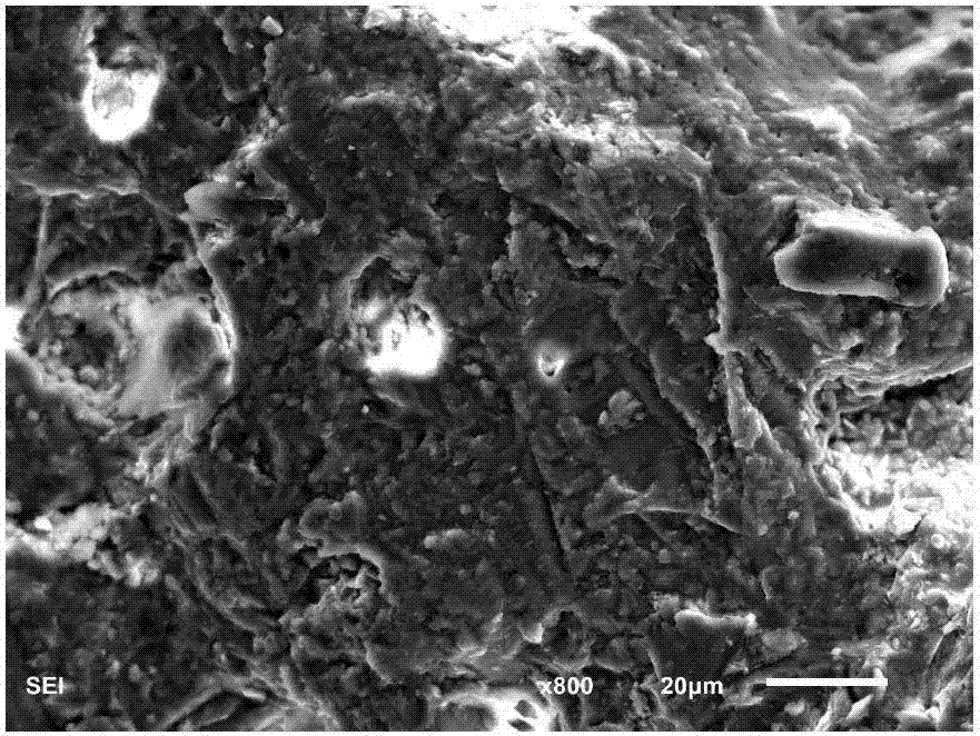 Modified fly ash ceramsite and preparation method and application thereof