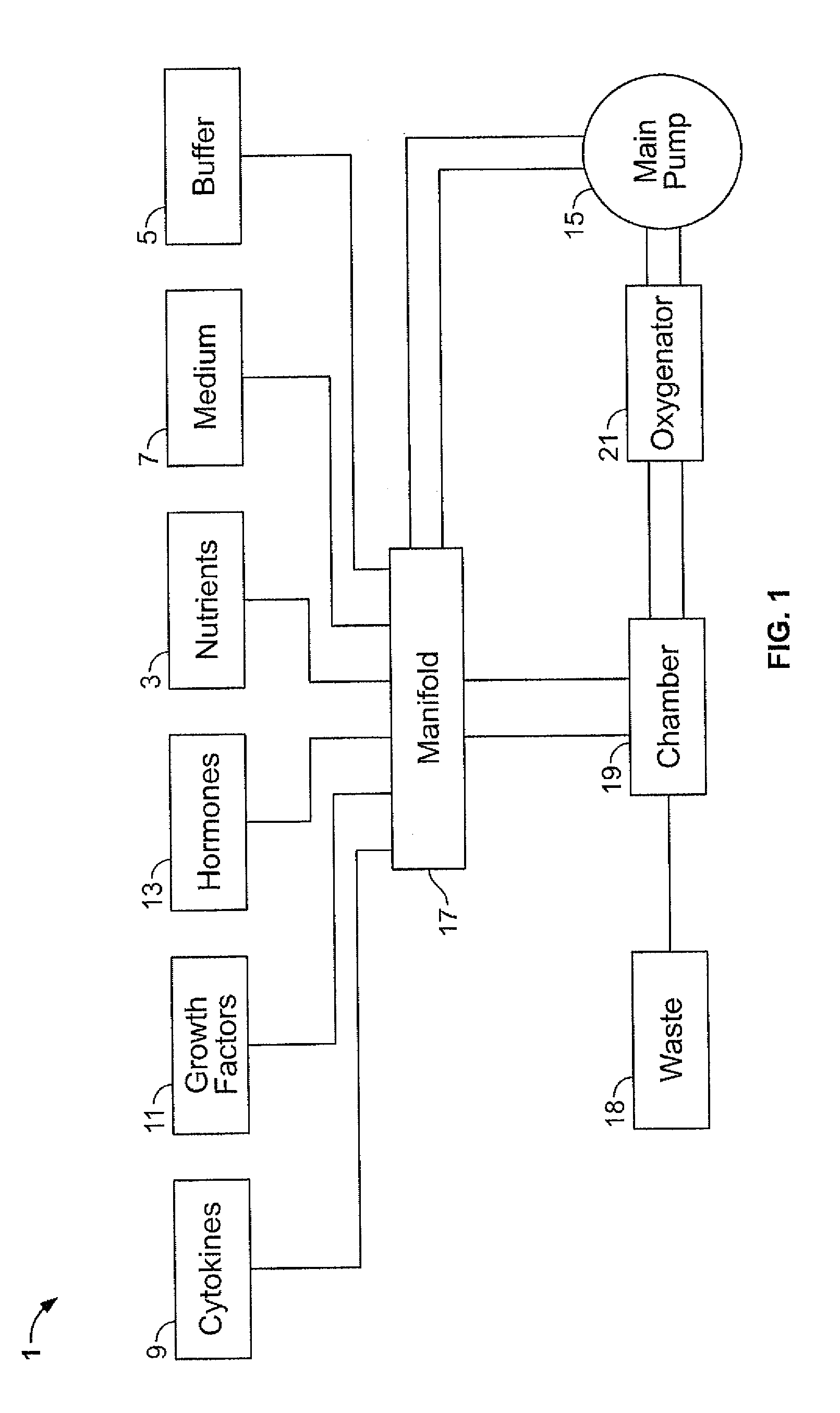 Method of providing readily available cellular material derived from cord blood, and a composition thereof