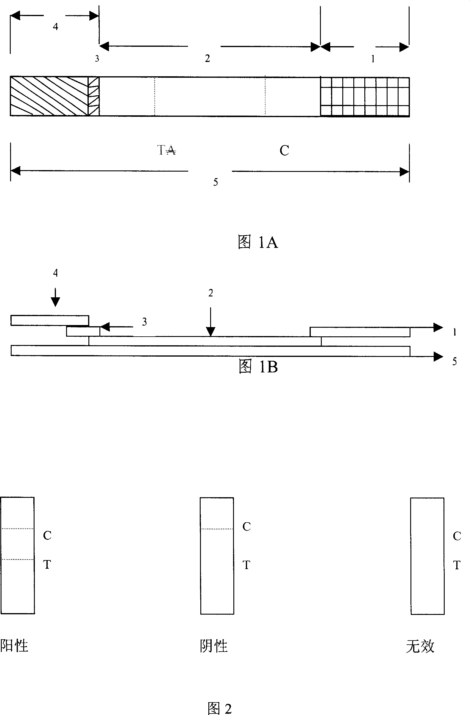 Test paper bar for testing colloidal gold of protective antibody of rabies virus