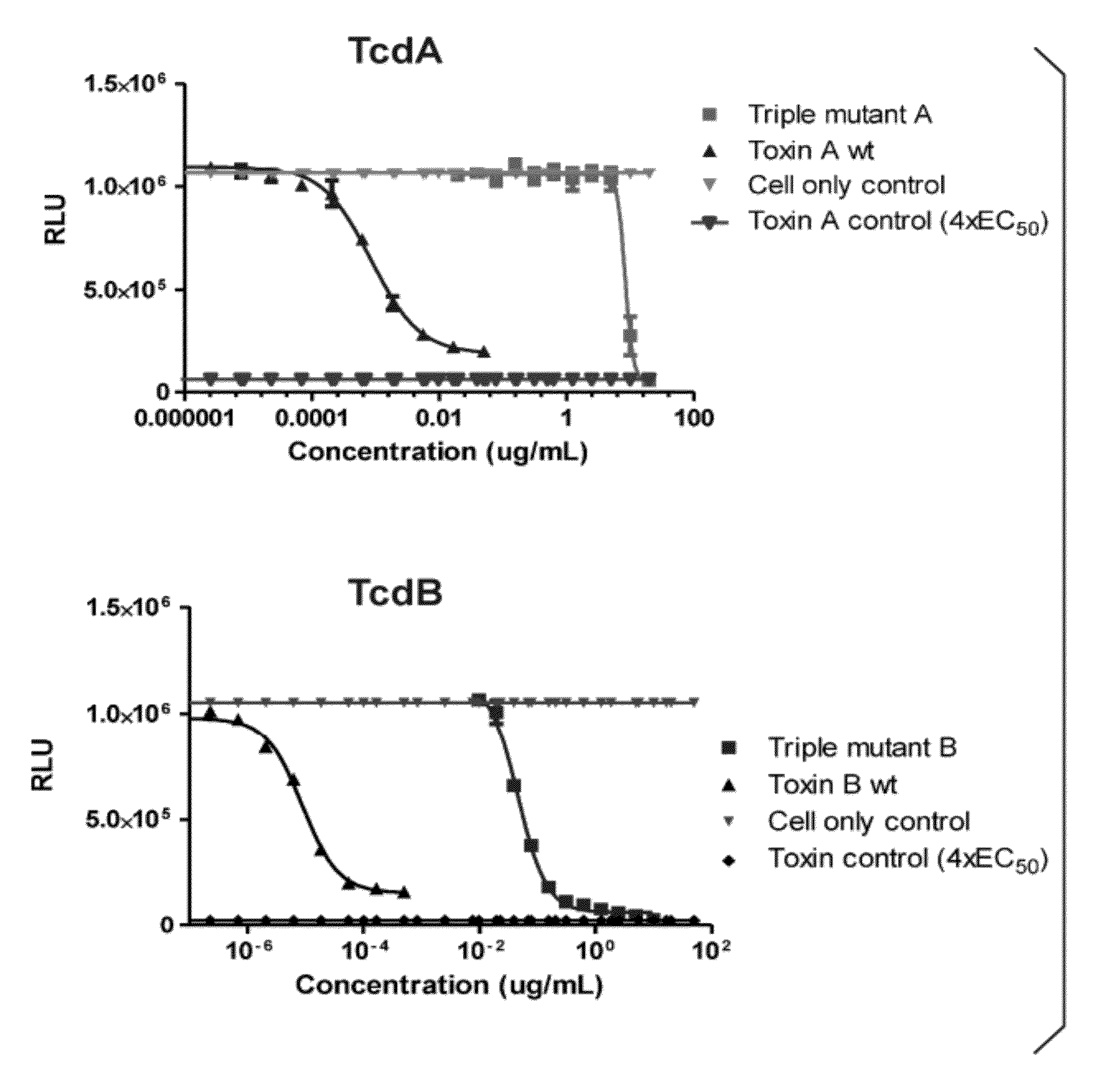 Compositions relating to a mutant <i>Clostridium difficile </i>toxin and methods thereof