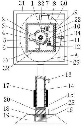 Ear-nose-throat endoscope support