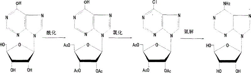 Technique of chemical synthesis of producing adenosine