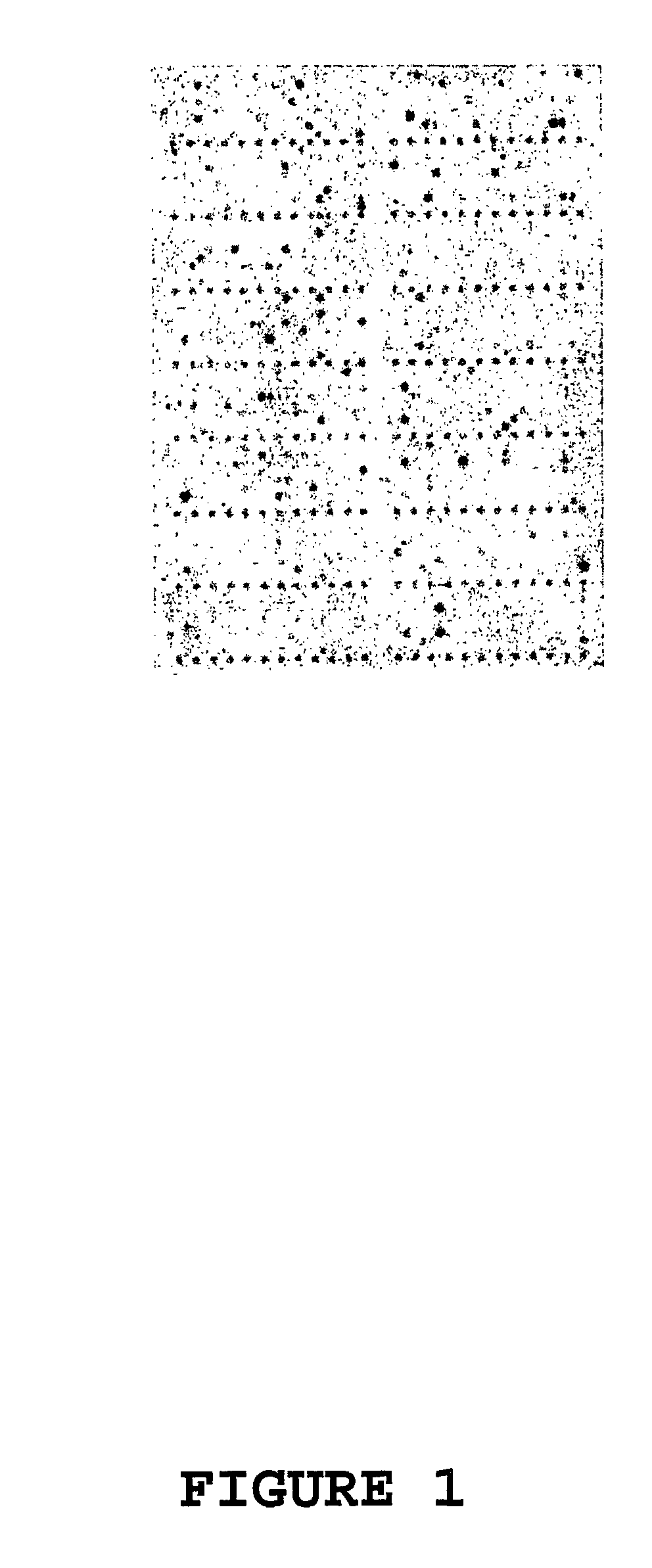 Method of monitoring a fermentation process