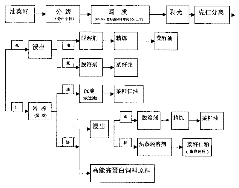 Process for separating repeseed kernel from shell and cold extracting oil