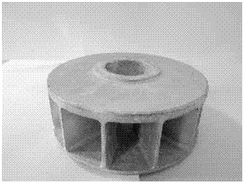 Centrifugal casting method of aluminum alloy impeller