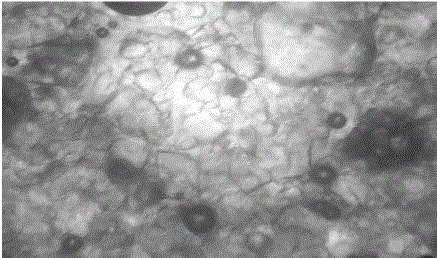 Crystallization process of crystalline fructose